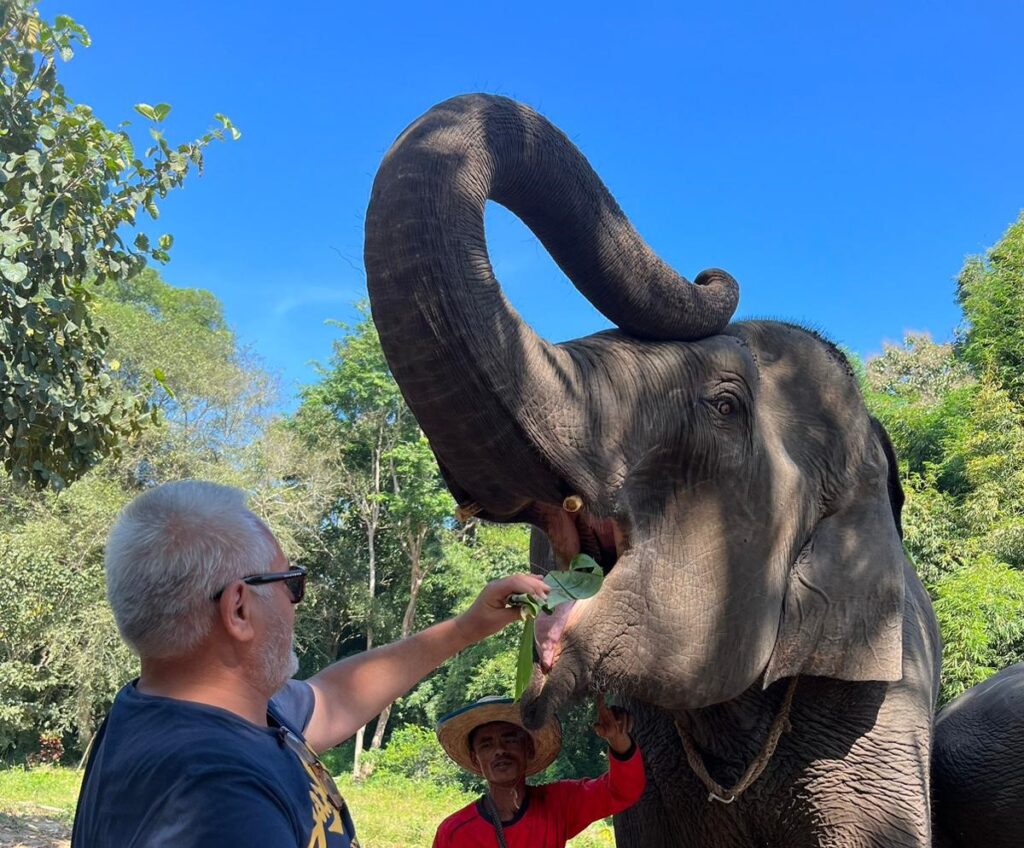 visitando Chiang Mai