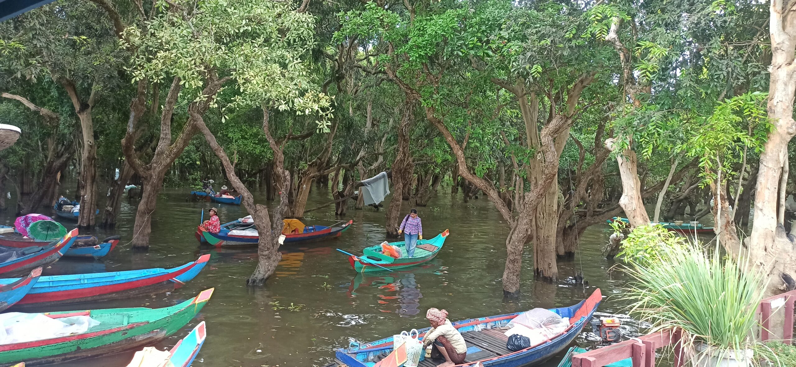 lago Tonle Sap