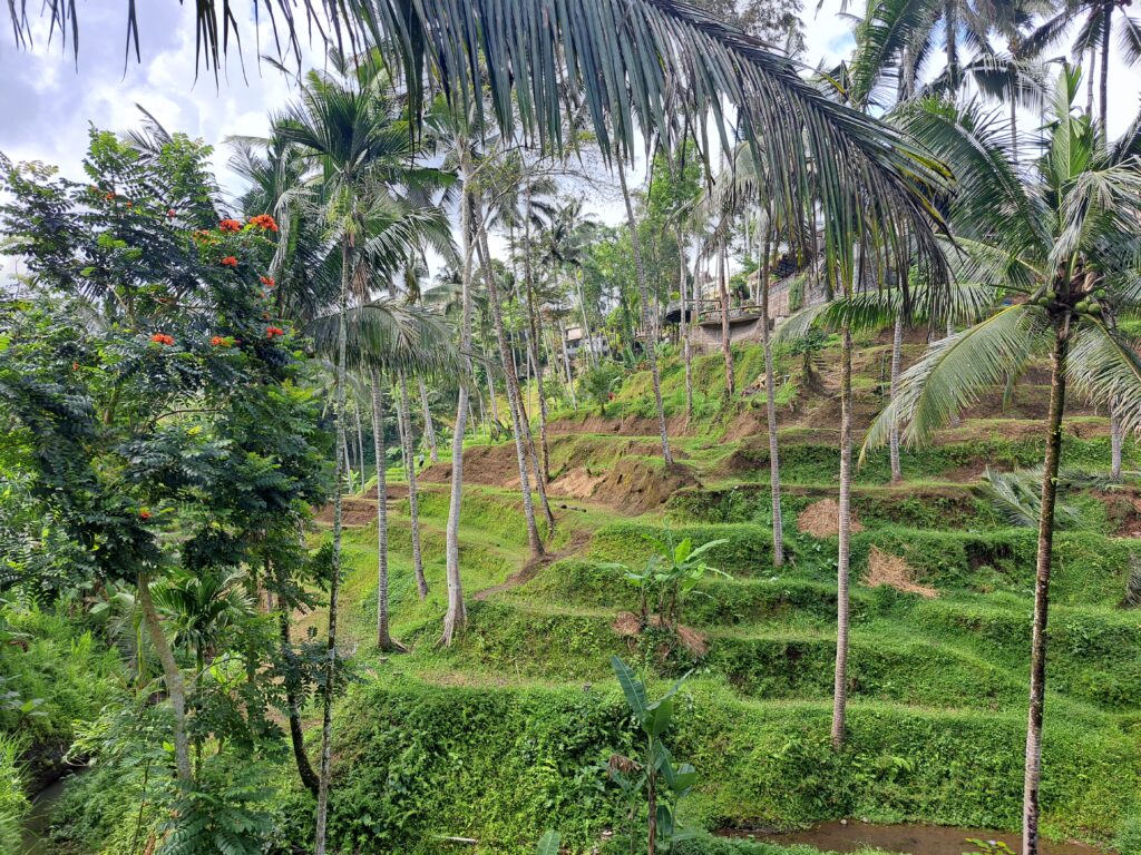 Recorrido en moto por Bali